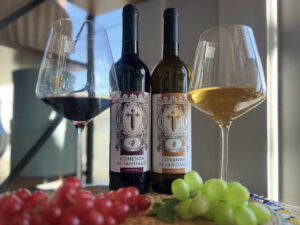 tasting of portuguese wines and italian cakes_4