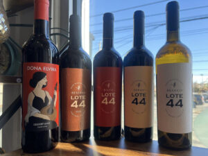 tasting of portuguese wines and italian cakes_5